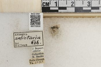 Media type: image;   Entomology 772910 Aspect: Labels